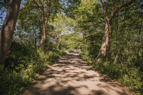 sonnerupgaard-nationalparken